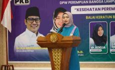 Permalink to Perempuan Bangsa Lampung Resmi Dilantik, Dorong Pemberdayaan dan Penanggulangan Kekerasan