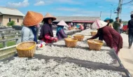 Permalink to Pemkot Perkuat Sentra Kuliner Pengolahan Ikan di Pulau Pasaran