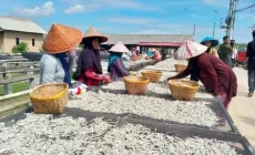 Permalink to Pemkot Perkuat Sentra Kuliner Pengolahan Ikan di Pulau Pasaran