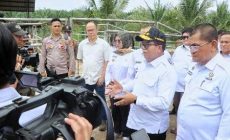 Permalink to Pj. Gubernur Lampung Tinjau Peternakan Sapi Terintegrasi di Lampura untuk Perkuat Ketahanan Pangan