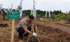 Polres Banjar Lakukan Penanaman Pohon