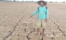 Permalink to Januari 2020 Hujan Tak Kunjung Turun Buat Warga Desa Panggung Jaya Kabupaten Mesuji Menderita Karena Tidak Bisa Menanam