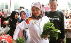 Permalink to Optimistis Pringsewu Raih KLA 2020, Wagub Nunik dan Wabup Fauzi Deklarasi Kabupaten Layak Anak