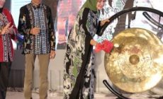 Permalink to Riana Sari Arinal Bidik Pengembangan Pariwisata dan Ekonomi Kreatif melalui Wedding Expo