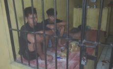 Permalink to Polsek Pulau Beringin Ungkap Kasus Pencurian di Desa Ujan Mas