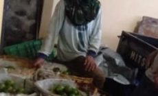 Permalink to Warga Petik Jerok Malah di Media kan