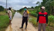 Permalink to Kapolsek Rawa Pitu : Sebanyak 73 Rumah Sudah Terendam Banjir