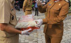 Permalink to Bupati Tulang Bawang Berikan Bantuan Paket Sembako di Menggala