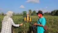 Permalink to Pemprov Lampung Soroti Serius Anjloknya Harga Cabai, Nunik Minta Masyarakat Beli Dengan Harga yang Manusiawi