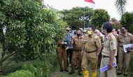 Permalink to Gubernur Arinal Kembangkan Agro Park dengan Tanaman Langka Hadiah Kehormatan PT. Petrokimia Gresik