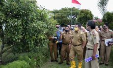 Permalink to Gubernur Arinal Kembangkan Agro Park dengan Tanaman Langka Hadiah Kehormatan PT. Petrokimia Gresik