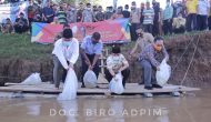 Permalink to Budidayakan Ikan Air Tawar, Gubernur Arinal Tebar Bibit Ikan di Sungai Tiuh Negara Batin, Way Kanan