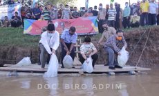 Permalink to Budidayakan Ikan Air Tawar, Gubernur Arinal Tebar Bibit Ikan di Sungai Tiuh Negara Batin, Way Kanan