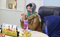 Permalink to Pemprov Lampung Siap Berkolaborasi dengan Organisasi Kewanitaan untuk Tingkatkan Pemberdayaan Perempuan