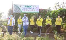 Permalink to Galakan Olahraga dan Wisata Keluarga, Ibu Riana Arinal Ajak Seluruh Organisasi Wanita Senam dan Masak bersama di Agro Park PKK