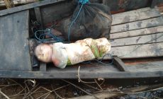 Permalink to Kronologis dan Motif Pasutri Yang Membuang Bayi Ke Aliran Sungai Tulang Bawang.