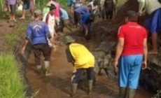 PU SDA KABUPATEN MALANG TERUS TINGKATKAN KINERJA NYA DEMI KESEJATERAAN PETANI