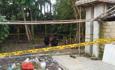 Permalink to Polisi Evakuasi Temuan Granat Nanas di Tulang Bawang, Iptu Holili : Granat Tersebut Diduga Peninggalan Sisa Perang
