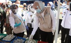 Permalink to Pemprov Lampung Bersama BBPOM Lakukan Sidak di Sejumlah Pasar di Bandarlampung, Hasilnya Semua Jenis Makanan Relatif Aman Dikonsumsi Masyarakat