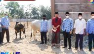 Permalink to KORPRI KABUPATEN OKU SELATAN SERAHKAN HEWAN KURBAN 2 EKOR SAPI KEPADA PENGURUS MASJID AL- MUHTADIN