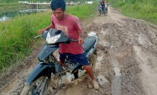 Permalink to Warga Desa Sumber Makmur Dan Desa Muliya Sari Berharap Jalan Kabupaten Pengubung antar Desa segera Dapat Perbaikan