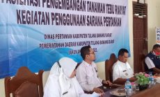 Permalink to Pemerintah Kabupaten Tubaba Dorong Kemitraan Tebu Rakyat