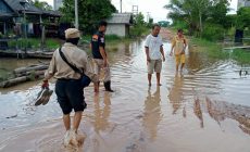 Tim Tagana Kabupaten Mesuji Pantau Rumah Warga Korban Banjir Air Rob Pasang