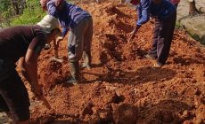 APBDes Desa Panggung Jaya Tahun 2021 di Anggarkan untuk Peningkatan Jalan Timbun Tanah Merah