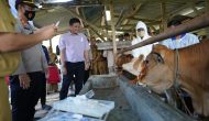 Permalink to Dinas Perikan dan Peternakan Bersama Bupati H.lanosin S.T. Laksanakan Kegiatan Vaksin PMK dan Tanam Cabai