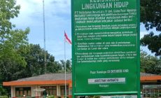 Permalink to Diduga Perkebunan PTPN IV Bandar Pasir Mandoge Swakelola Pemeliharan Tanaman Pohon Sawit
