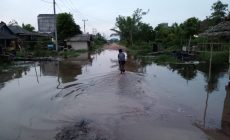 Permalink to Akibat Curah Hujan Sangat Deras, di Saat Pasang Ruap Membuat Jalan Kabupaten Mesuji Terputus