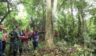 Permalink to Siapkan Hutan Kota Sekayu Dan Direncanakan Miliki Wahana Outbond