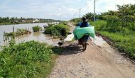 Permalink to Warga Belasan Desa di Mesuji Keluhkan Jalan antar Desa Sidang Sido Rohayu dan Desa Muara Jaya Nyaris Putus