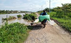 Permalink to Warga Belasan Desa di Mesuji Keluhkan Jalan antar Desa Sidang Sido Rohayu dan Desa Muara Jaya Nyaris Putus