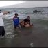 Seorang Pengunjung Tewas Tenggelam Saat Main Perahu di Pantai Pelangi Danau Ranau