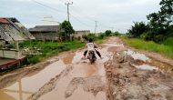 Permalink to Akibat Curah Hujan Jalan Kabupaten Mesuji Pengubung Desa Sungai Cambai ke Wono sari Rusak Parah
