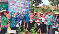 Permalink to Wakili Kecamatan, Pekon Bumi Arum Optimis Raih Juara Lomba Pekon Tingkat Kabupaten 2023