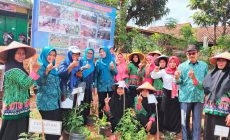 Permalink to Wakili Kecamatan, Pekon Bumi Arum Optimis Raih Juara Lomba Pekon Tingkat Kabupaten 2023