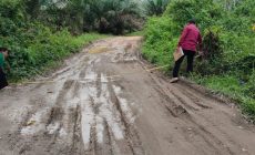 Permalink to Tahun 2023 PU PR Perbaiki Jalan Desa Tanjung Bali-Tanah Abang Batanghari Leko dan Jalan dari Jembatan Lalan (P.11) menuju Desa Mekar Jadi (B.2)-Sp. Jalan Negara Lalan