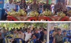 Permalink to Pergelaran Wayang Kulit Meriahkan HUT Pekon Podosari