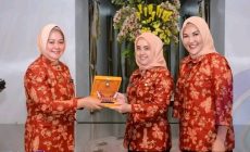 Permalink to TIM III DWP PROVINSI SUMSEL LAKUKAN KONSOLIDASI DAN PENILAIAN KELENGKAPAN ADMINISTRASI SERTA GSMP DWP KABUPATEN OKU SELATAN