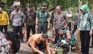 Permalink to Peringatan HUT TNI ke78, Kodim 0401 dan Pemkab Muba Gelar Bakti Sosial