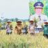 Gubernur Arinal Djunaidi Lakukan Panen Raya Padi di Kabupaten Lampung Tengah