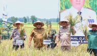 Permalink to Gubernur Arinal Djunaidi Lakukan Panen Raya Padi di Kabupaten Lampung Tengah