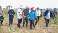 Permalink to Sinergi TNI Jaga Ketahanan Pangan, Optimalkan Lahan Tidur Jadi Produktif