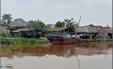 Lapor DPRD Mesuji, Air Sungai Di Desa Sungai Cambai Berubah Warna Di Duga Tercemar Limbah Pabrik