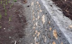 Permalink to Demi Meningkatkan Pendapatan Para Petani, Desa Panggungduwet Membangun JUT