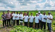 Permalink to Manager Termuda Luli Ahmad Gozali Gelar Acara syukuran Tutup Tanam dan Menyantuni Anak Yatim Diareal Tanaman Ulang Kebun Ambalutu PTPN IV Regional 1