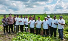 Permalink to Manager Termuda Luli Ahmad Gozali Gelar Acara syukuran Tutup Tanam dan Menyantuni Anak Yatim Diareal Tanaman Ulang Kebun Ambalutu PTPN IV Regional 1