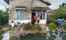 Permalink to DINAS SOSIAL MESUJI PANTAU RUMAH WARGA YANG KEBANJIRAN DI DESA SUNGAI CAMBAI